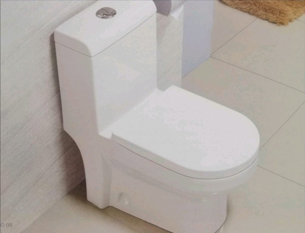 "western-type-toilet"