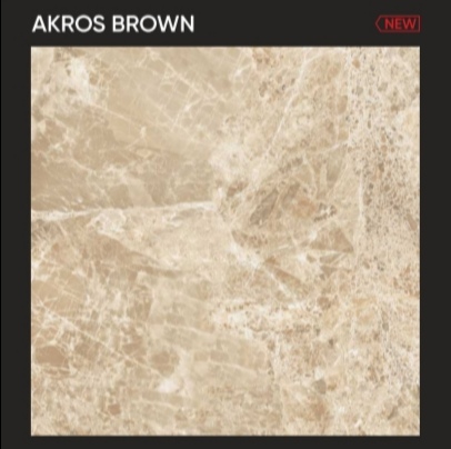 "akros-brown-porcelain-floor-tile-600x600-mm"