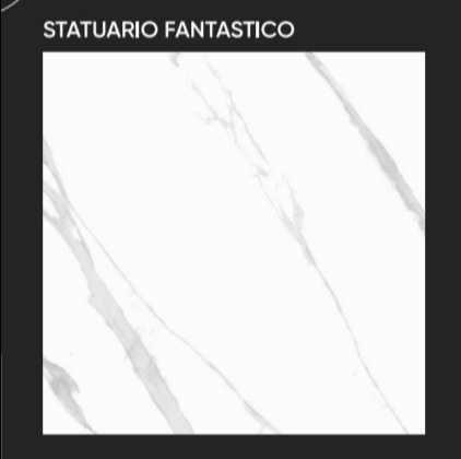 "statuario-fantastica-porcelain-floor-tile-600x600-mm"