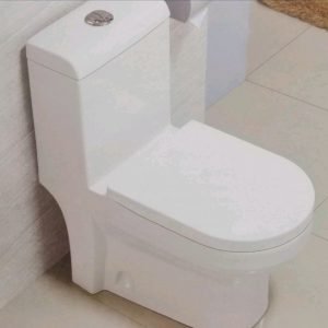 "western-type-toilet"