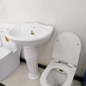 "sanitary-ware-water-closet-and-wash-basin"